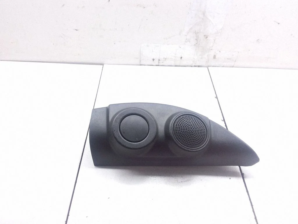 Front door speaker 07354986290E