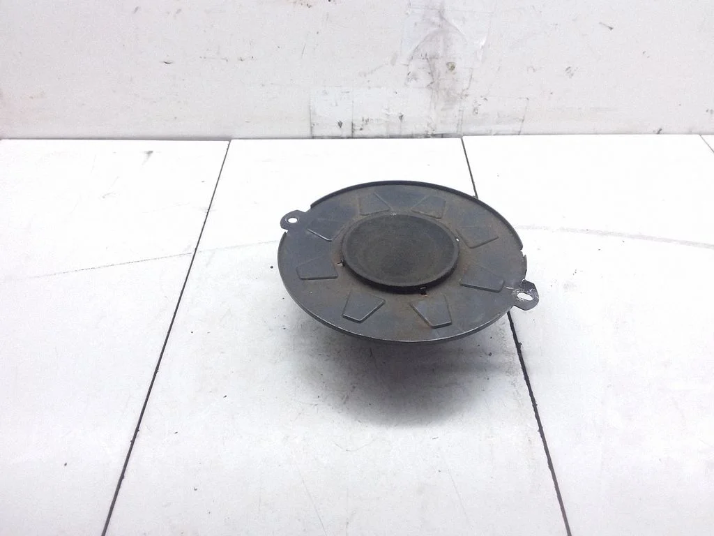 Panel speaker 05094700AA