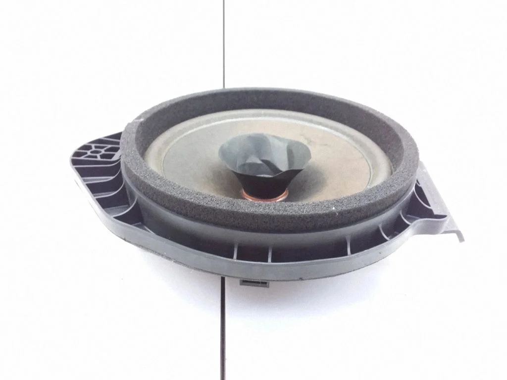Rear door speaker 434107863751