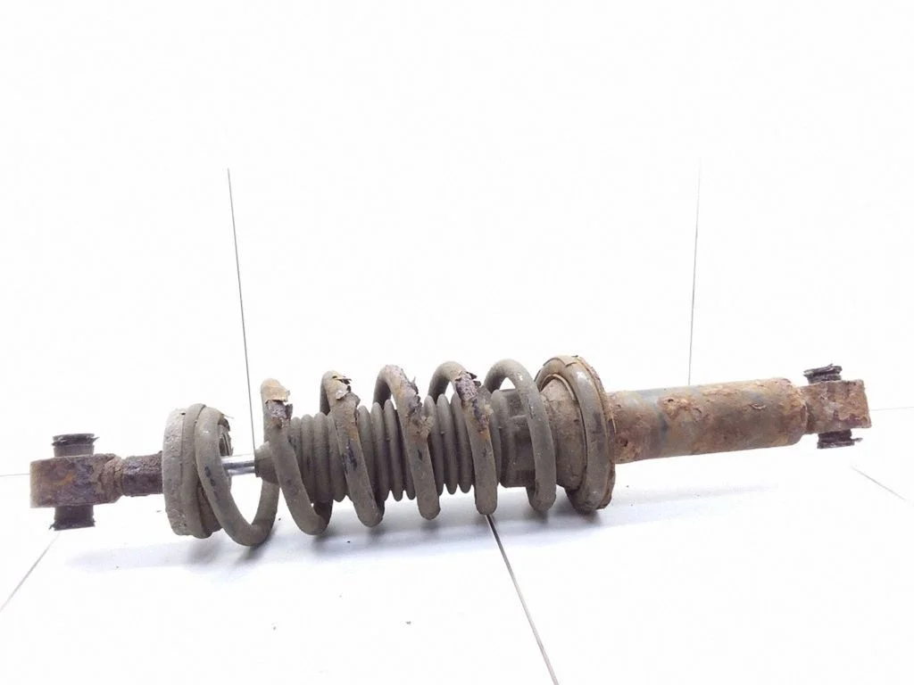 Rear shock absorber with coil spring