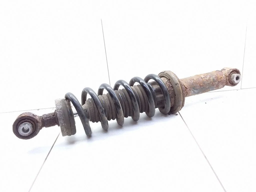 Rear shock absorber with coil spring