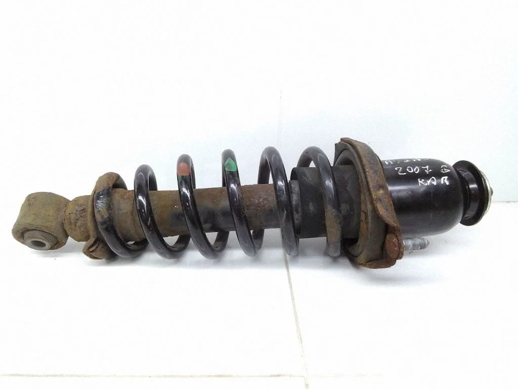 Rear shock absorber with coil spring