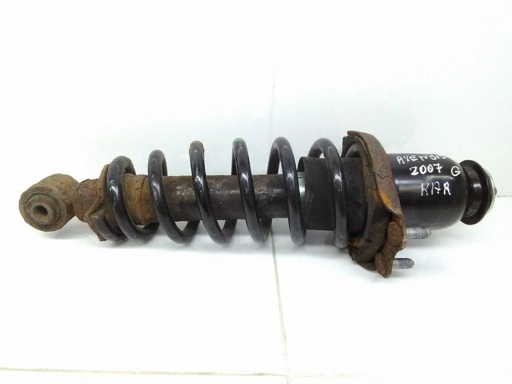 Rear shock absorber with coil spring