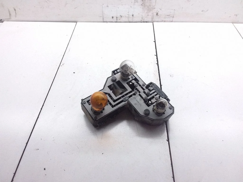 Tail light bulb cover holder 147868