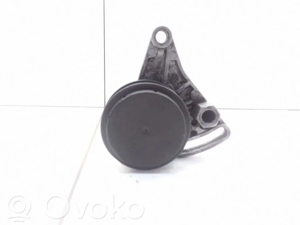 Generator/alternator belt tensioner F230875