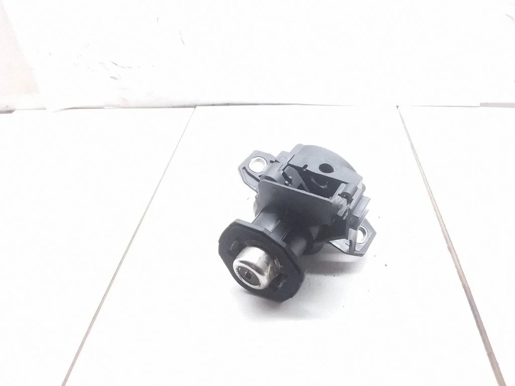 Tailgate exterior lock 10962510