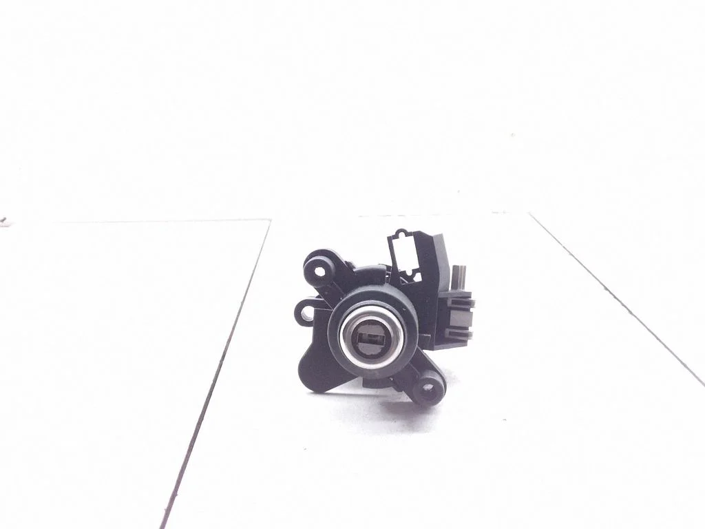 Tailgate exterior lock 82410889