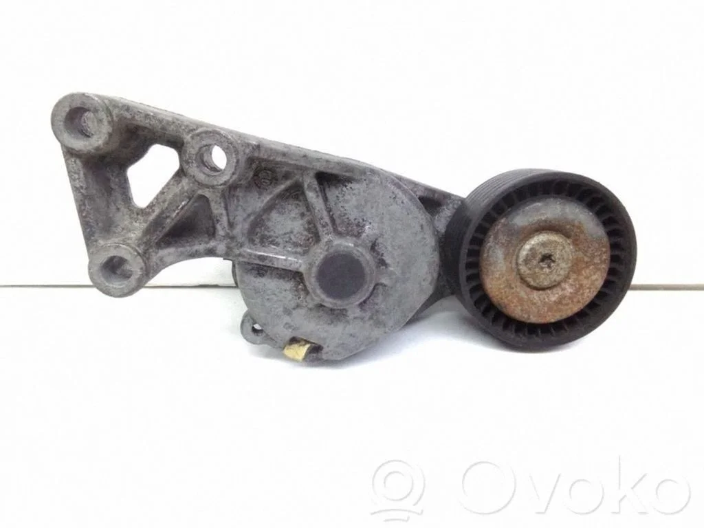 Generator/alternator belt tensioner – Ford Galaxy (2000-2006)