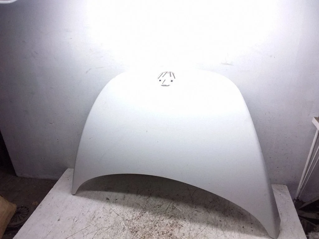 Engine bonnet/hood