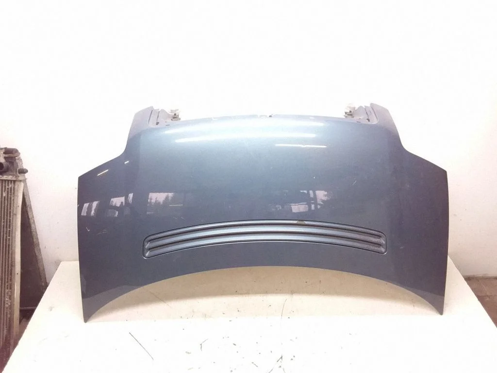 Engine bonnet/hood