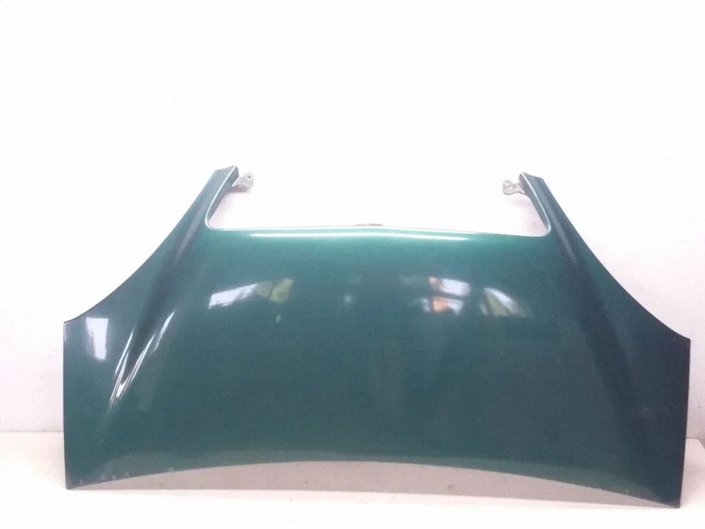 Engine bonnet/hood