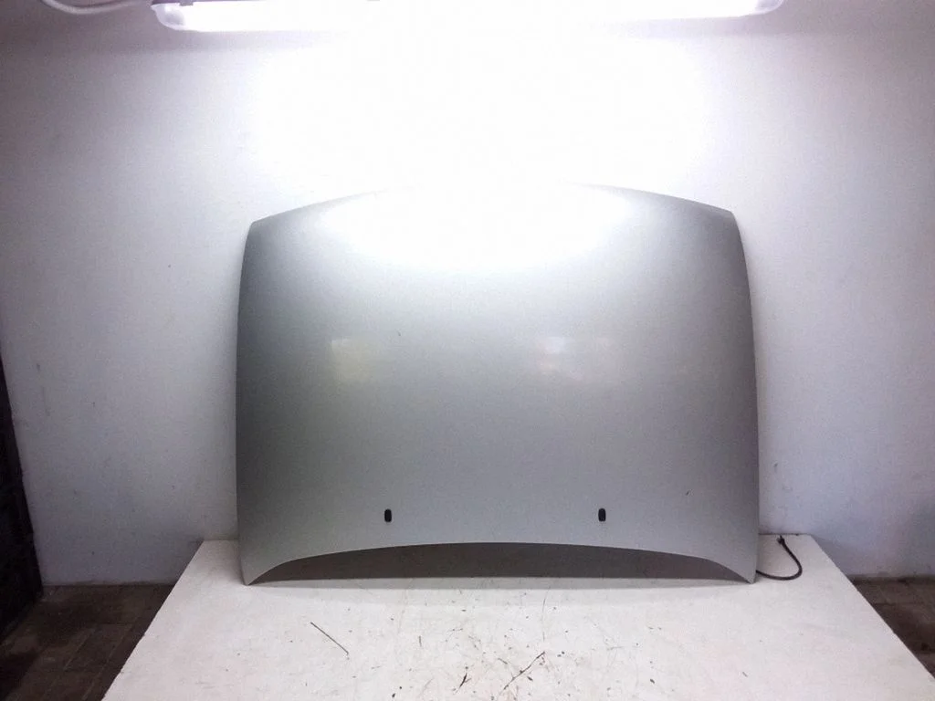Engine bonnet/hood