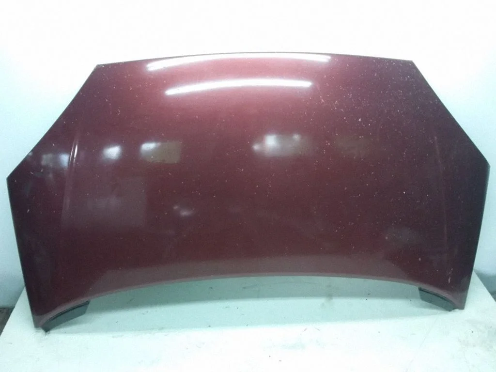 Engine bonnet/hood