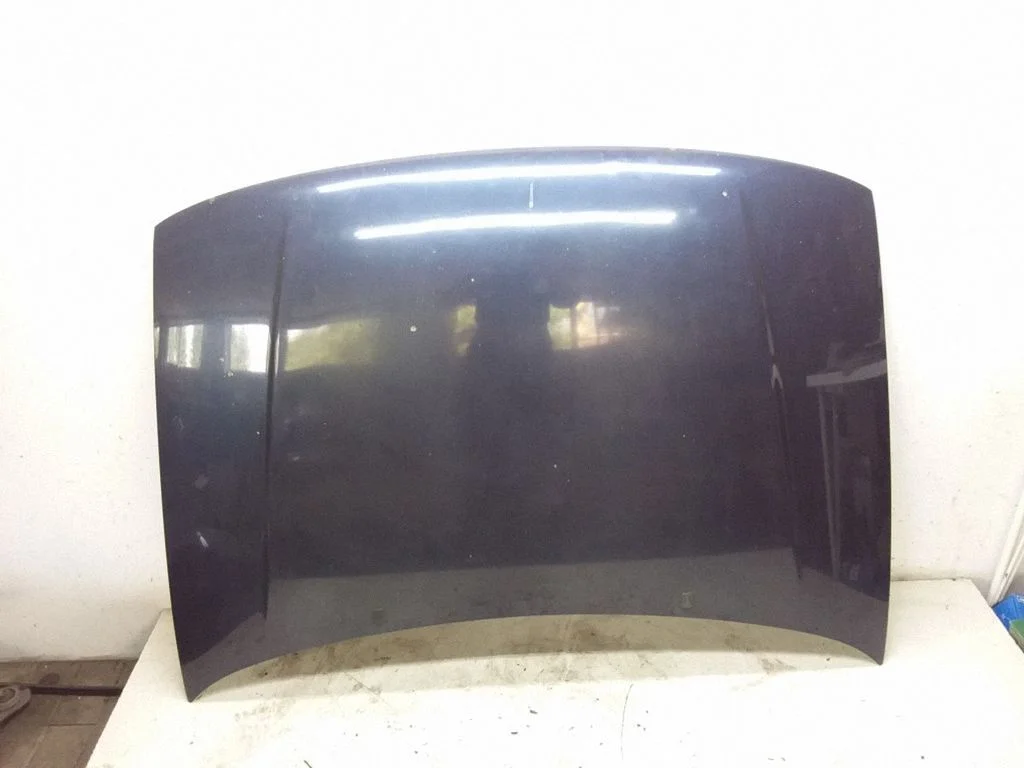 Engine bonnet/hood