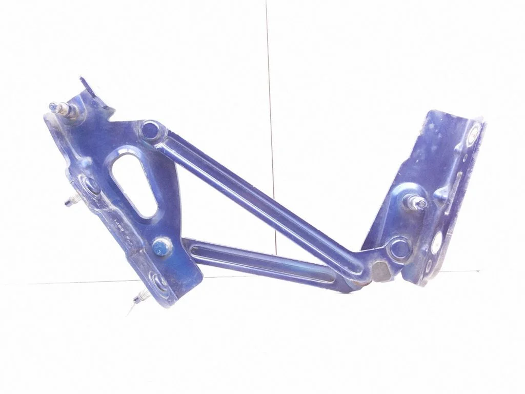 Tailgate/trunk/boot hinge ES71