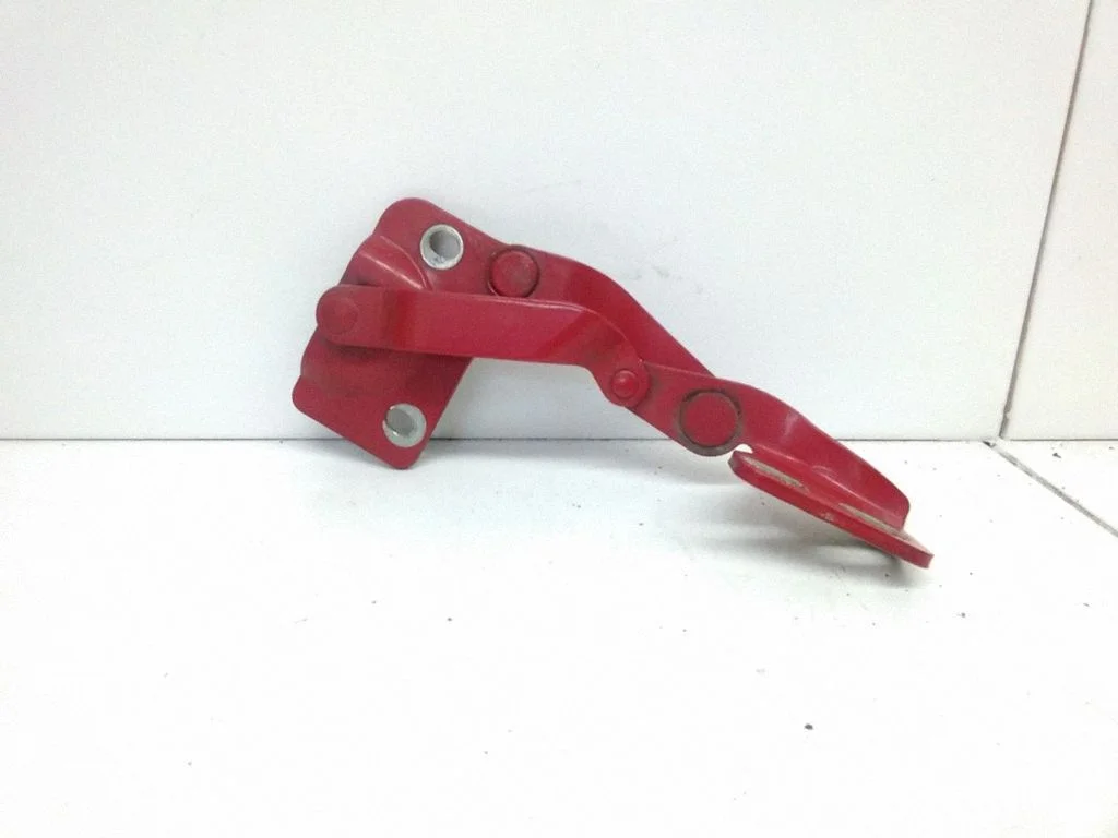 Tailgate/trunk/boot hinge – rear left