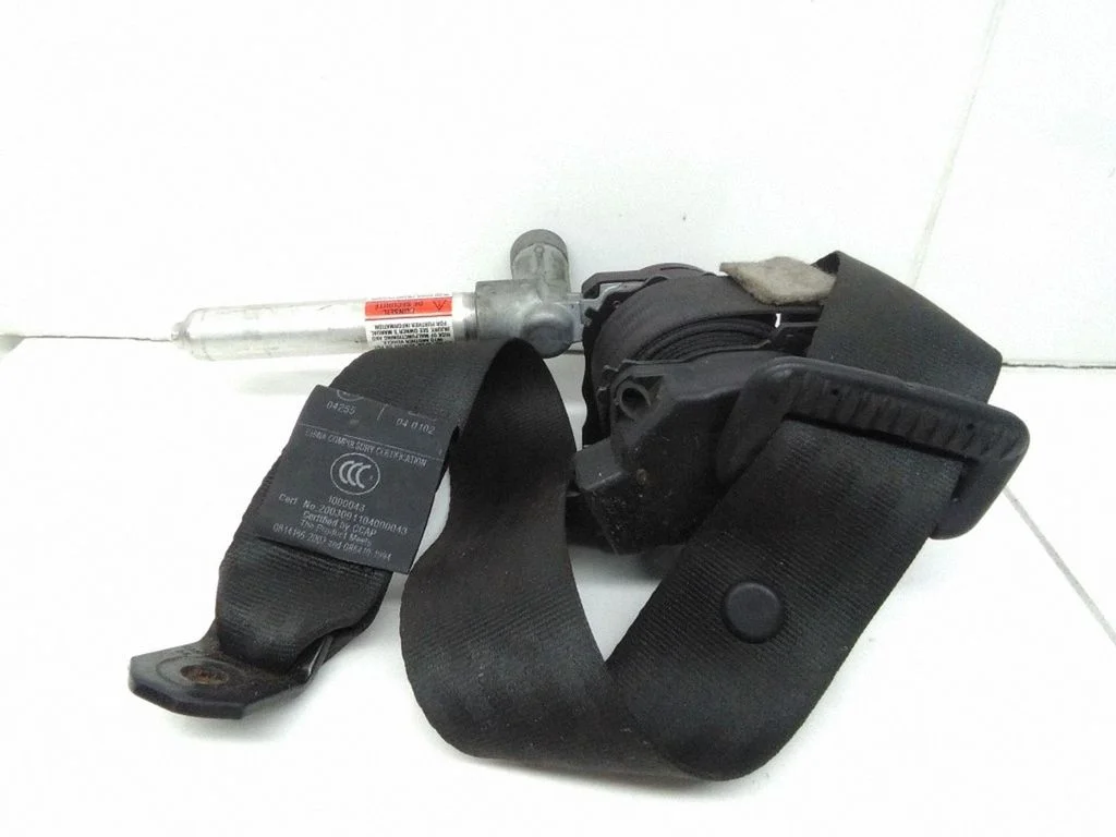 Aizmugurējā drošības josta 30615804