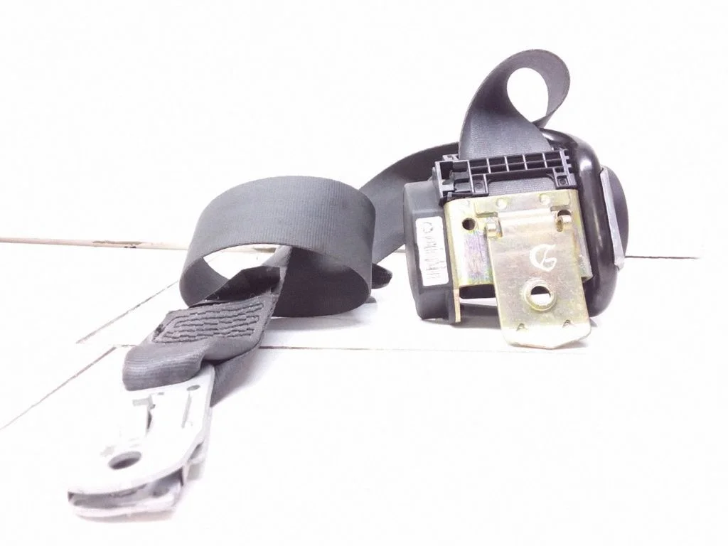 Rear seatbelt 5509239