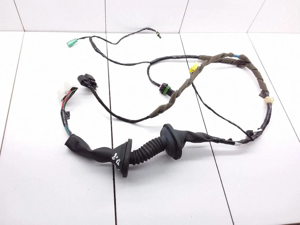 Front door wiring loom A4545402405 – Smart ForFour I (2004-2006)