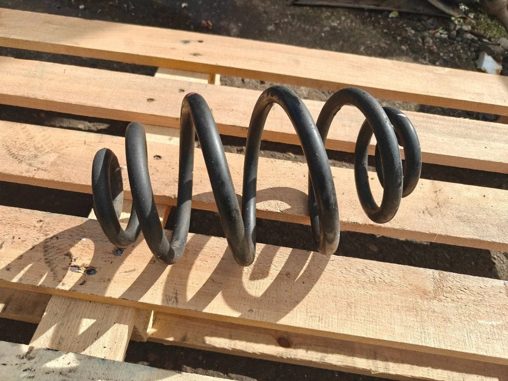 Rear coil spring