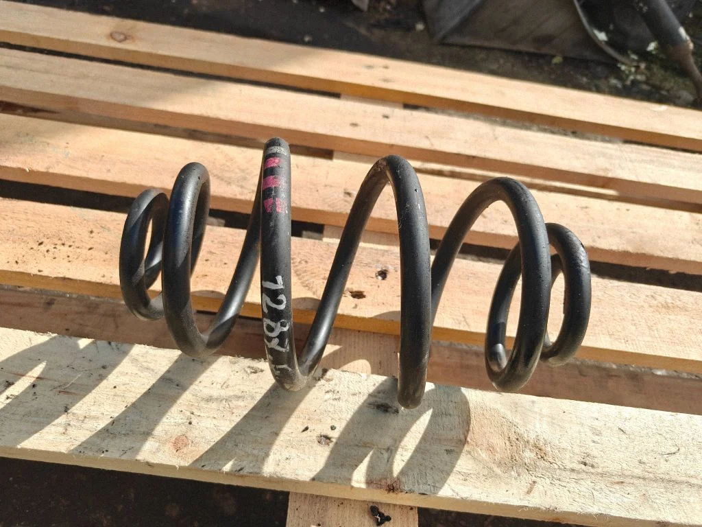 Rear coil spring