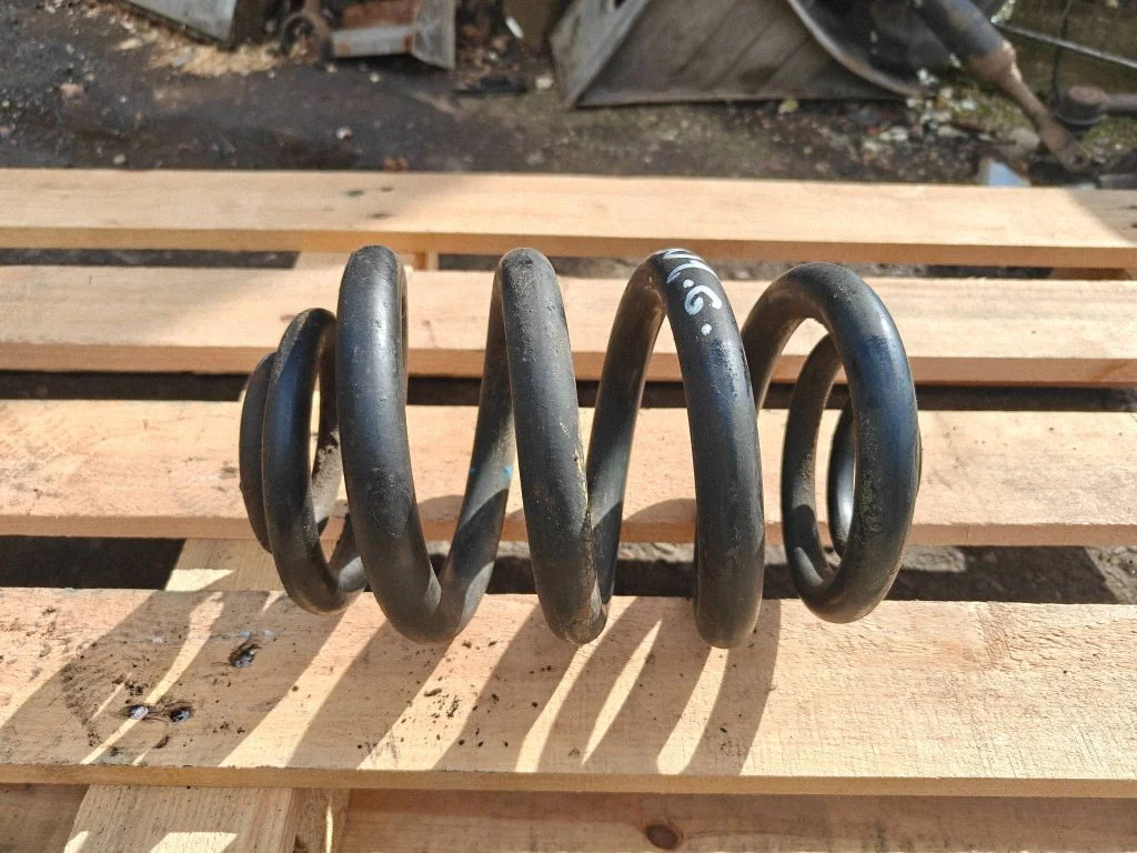 Rear coil spring