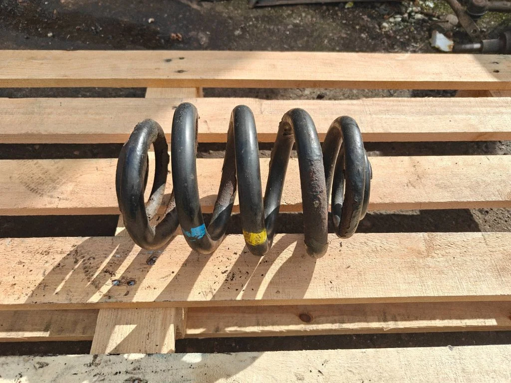 Rear coil spring