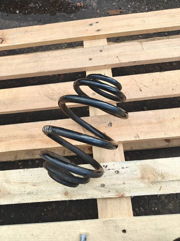 Rear coil spring