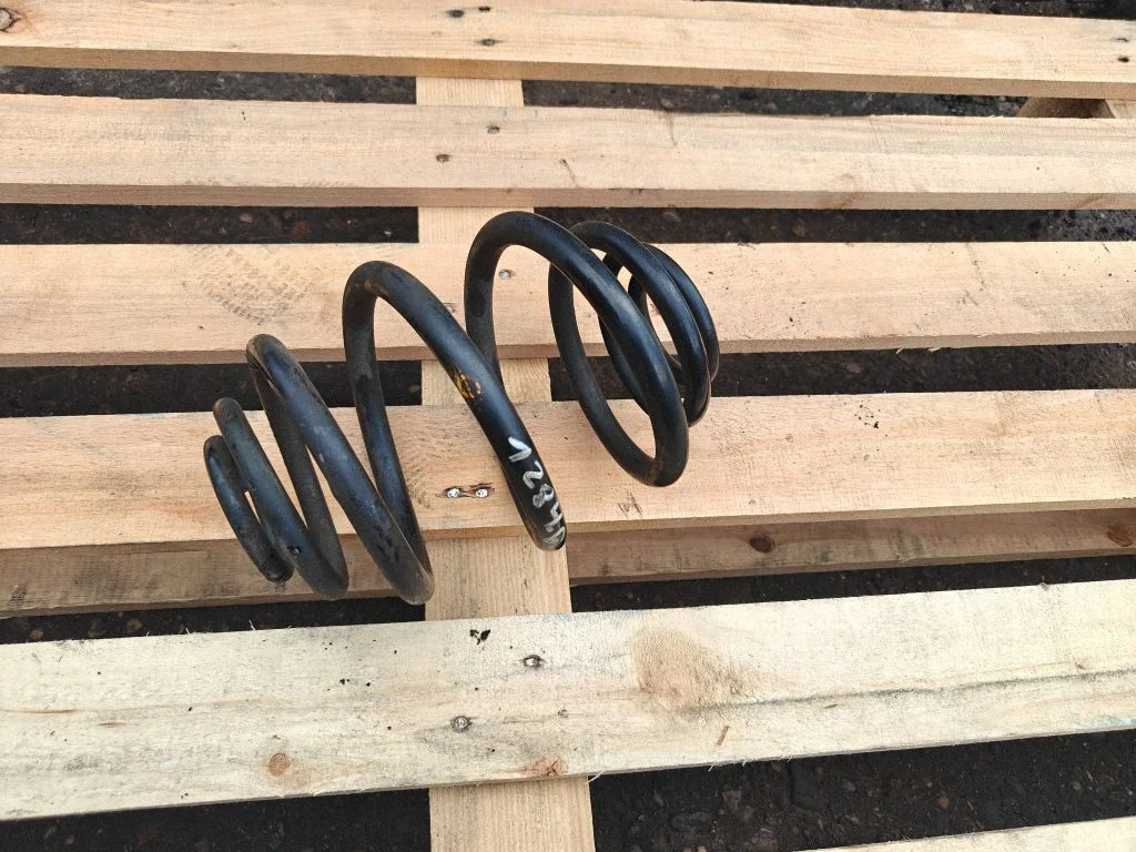 Rear coil spring