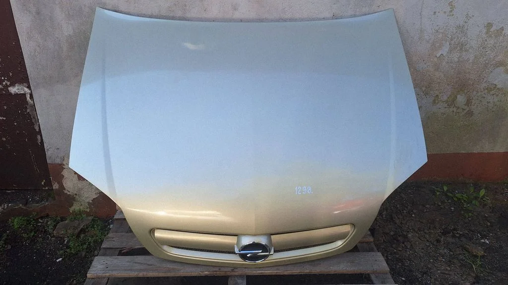 Engine bonnet/hood