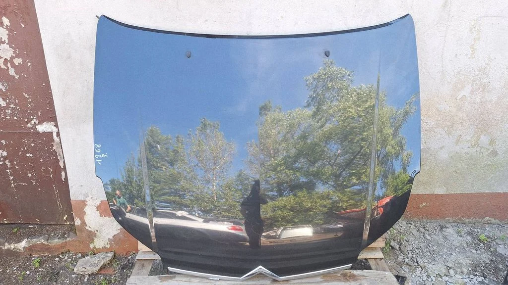 Engine bonnet/hood