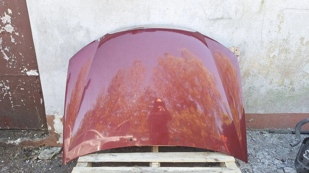 Engine bonnet/hood