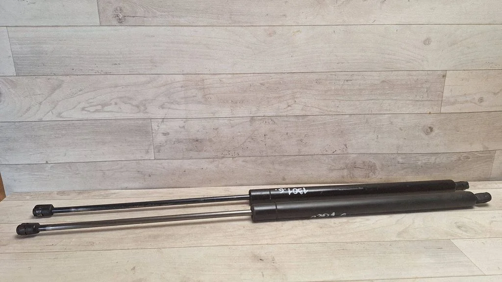 Tailgate/trunk strut/damper