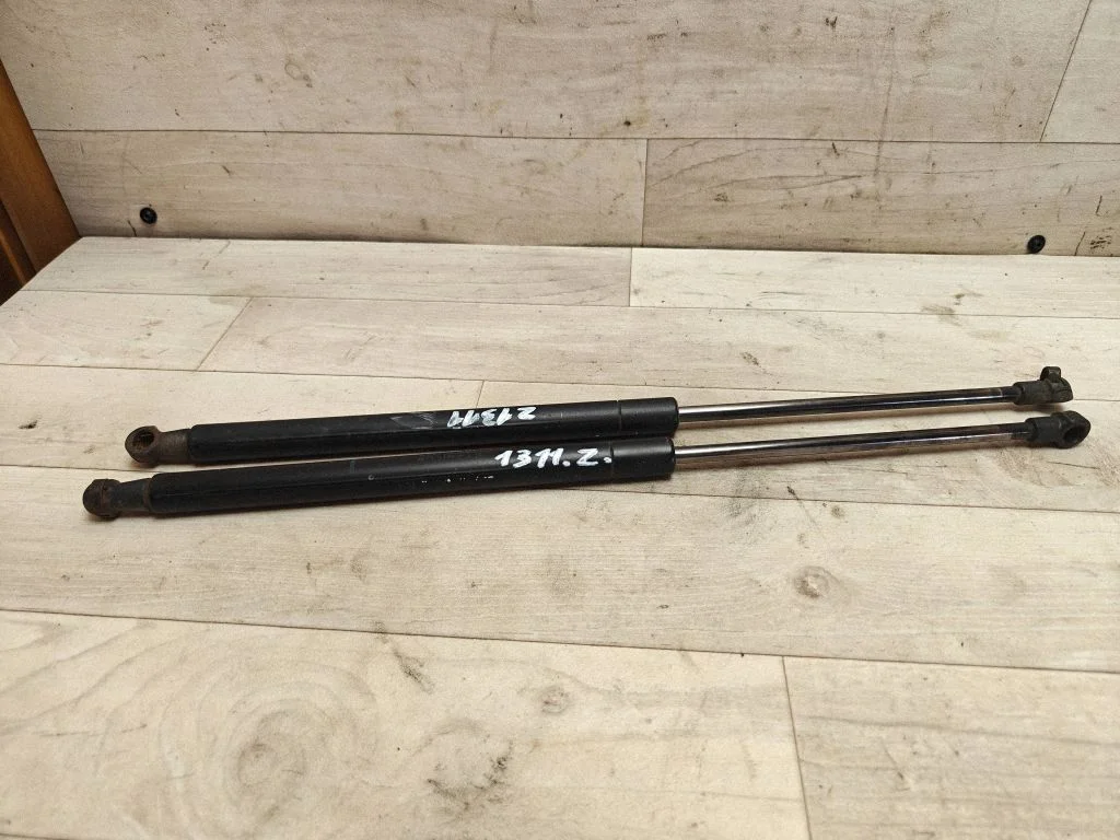 Tailgate/trunk strut/damper 6895002090