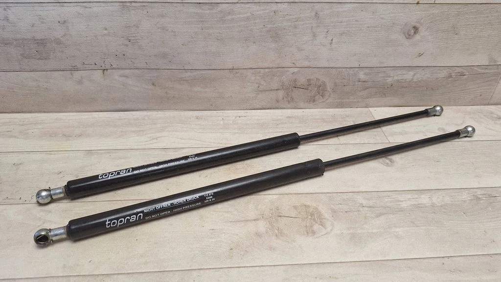Tailgate/trunk strut/damper