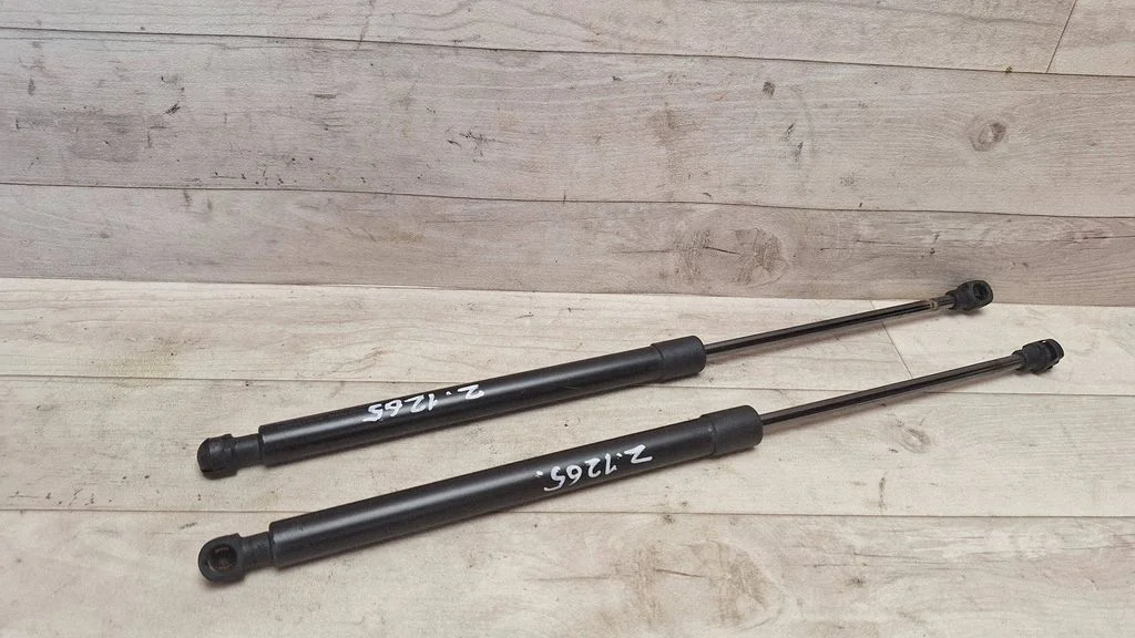 Tailgate/trunk strut/damper