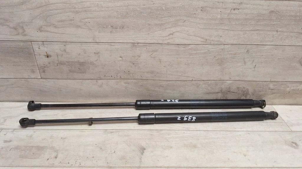 Tailgate/trunk strut/damper