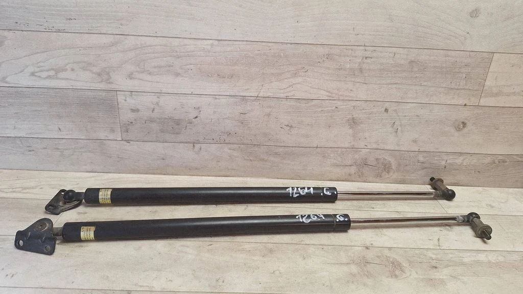 Tailgate/trunk strut/damper