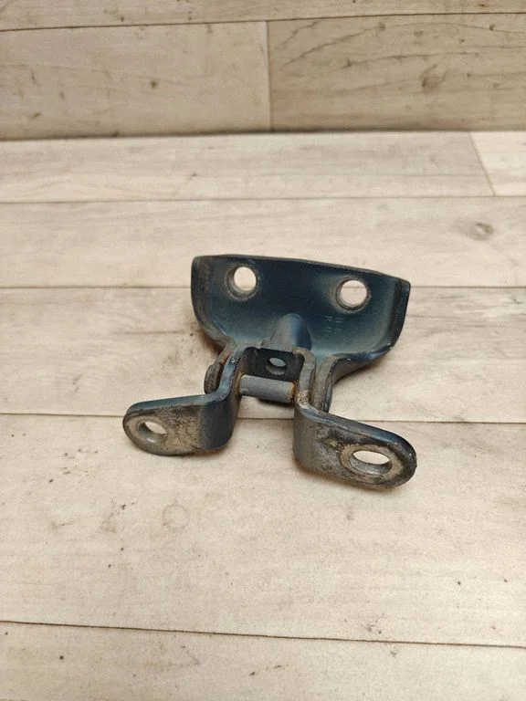 Front door lower hinge – front left