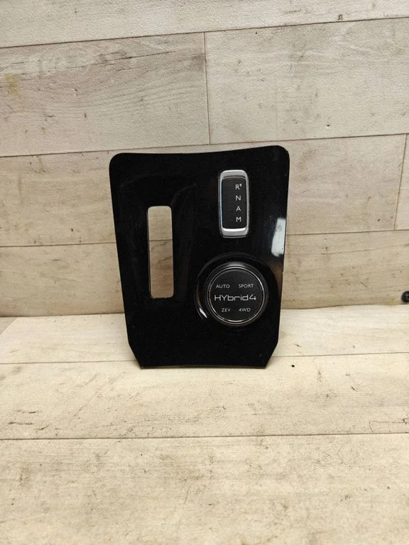 Multifunctional control switch/knob 96669728ZD