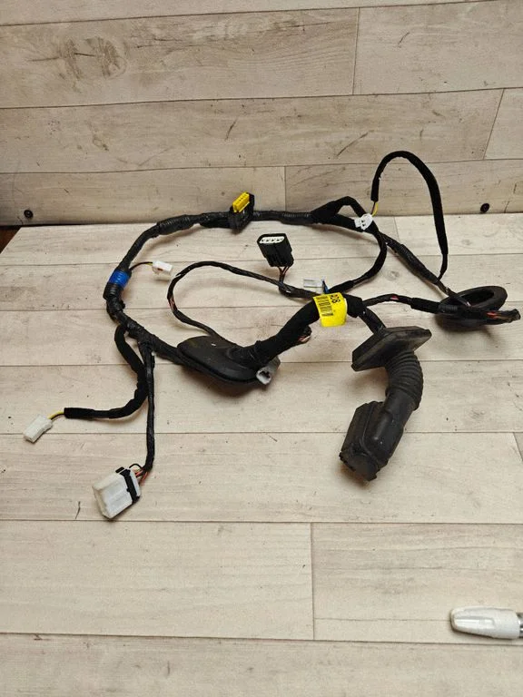 Front door wiring loom 91610