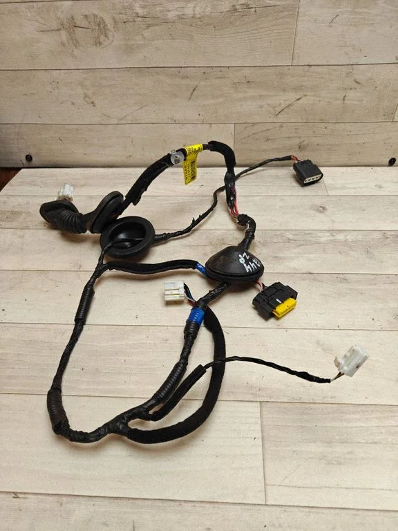 Rear door wiring loom 91660