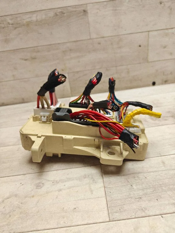 Fuse module 919501H510
