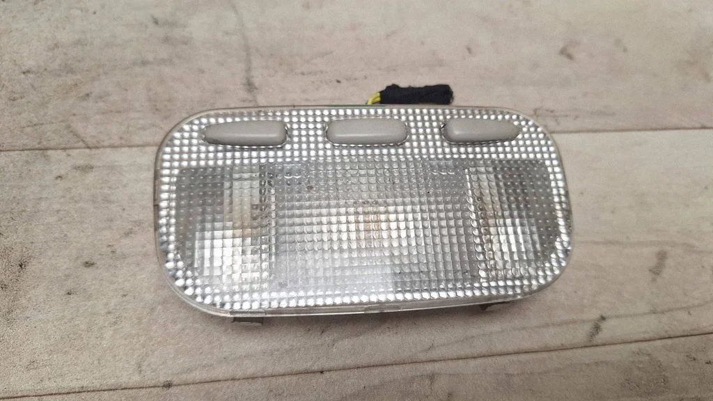 Rear seat light