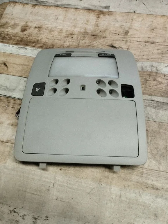 Front seat light 1D111130G