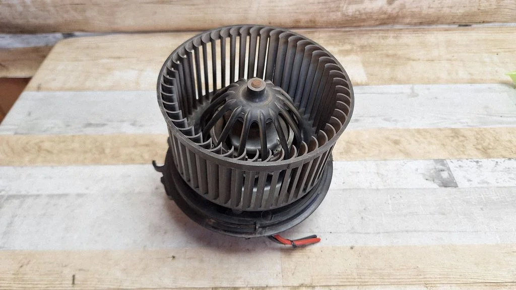 Krāsniņas ventilators/pūtējs F665878C
