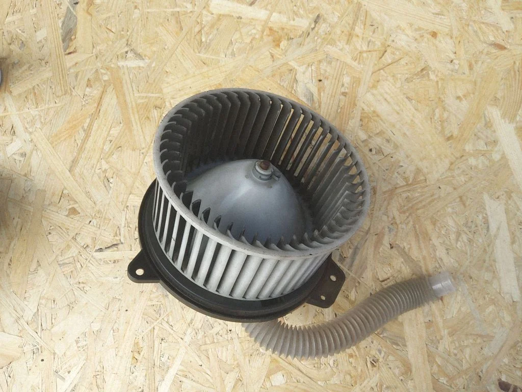 Salongipuhur