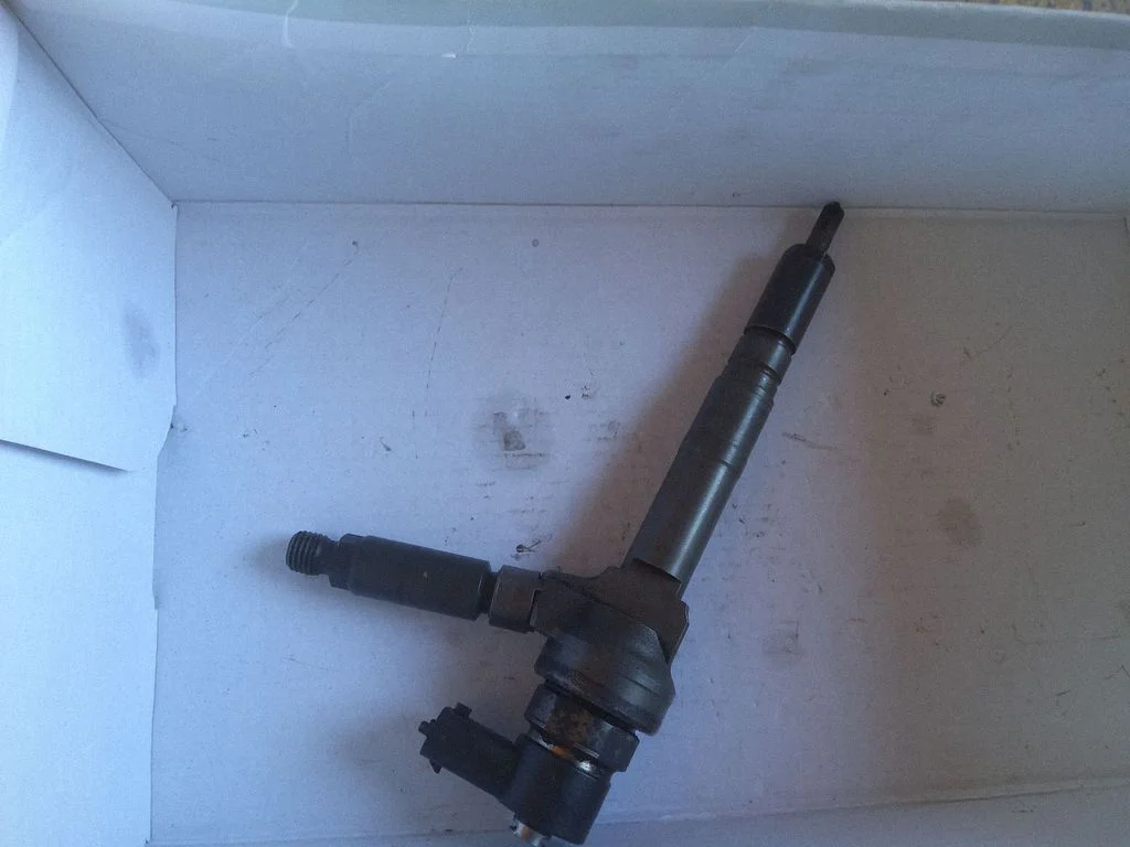 Fuel injector 0445110174
