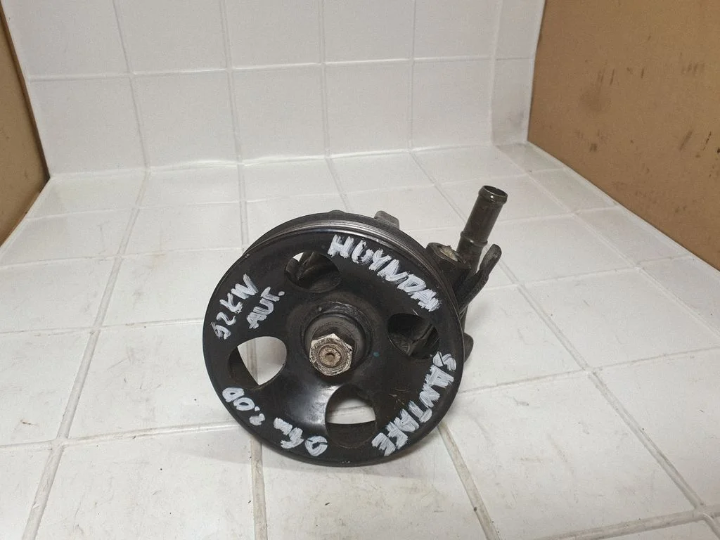 Power steering pump 5710026300