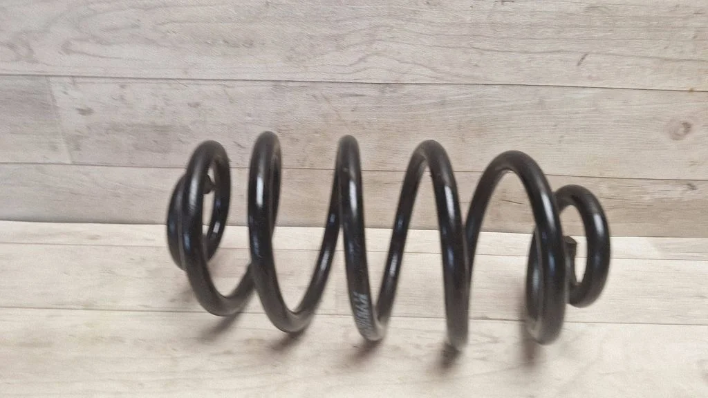 Rear coil spring